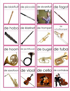 memorie muziekinstrumenten